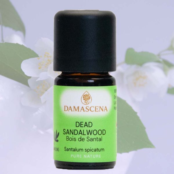 Aromalampen, Aromalampe Blume – Special Edition, Aromalampe Junior, Aromalampe Lebensblume – Special Edition, Aromalampe Mahara, Aromalampe Venus, Aromalampe Victoria, Räucher- und Aromalampe Lucerna, Ätherisches Öl - Angelikawurzelöl BIO, Ätherisches Öl - Anis BIO, Ätherisches Öl - Arvenöl Schweiz BIO, Ätherisches Öl - Arvenöl Tyrol BIO, Ätherisches Öl - Balsamtanne BIO, Ätherisches Öl - Basilikum Linalool BIO, Ätherisches Öl - Benzoe Siam BIO, Ätherisches Öl - Bergamotte BIO, Ätherisches Öl - Bergamotte Furocumarinfrei BIO, Ätherisches Öl - Bergamottminze BIO, Ätherisches Öl - Bergbohnenkraut BIO, Ätherisches Öl - Blutorange BIO, Ätherisches Öl - Buddha Wood, Ätherisches Öl – Cajeput, Ätherisches Öl - Cajeput BIO, Ätherisches Öl - Champaca 10 %, Ätherisches Öl - Cistrose BIO, Ätherisches Öl - Citronella BIO, Ätherisches Öl – Copaivabalsam, Ätherisches Öl - Dead Sandalwood, Ätherisches Öl - Douglasie Frankreich BIO, Ätherisches Öl - Douglasie Schweiz Bio, Ätherisches Öl - Duftset ätherische Öle, Ätherisches Öl - Eukalyptus Blue Mallee Bio, Ätherisches Öl - Eukalyptus Citriodora BIO, Ätherisches Öl - Eukalyptus Globulus BIO, Ätherisches Öl - Eukalyptus Radiata BIO, Ätherisches Öl - Fenchel süss BIO, Ätherisches Öl - Fichtennadel BIO, Ätherisches Öl - Fichtennadel extra, Ätherisches Öl – Fragonia, Ätherisches Öl - Frangipani 20 %, Ätherisches Öl - Frangipani Attar, Ätherisches Öl - Grapefruit BIO, Ätherisches Öl - Grapefruit pink BIO, Ätherisches Öl - Grüne Minze (Krauseminze) BIO, Ätherisches Öl - Hanf BIO 10 %, Ätherisches Öl - Hanf BIO 100 %, Ätherisches Öl - Hennablüten Attar, Ätherisches Öl - Ho-Blätter , Ätherisches Öl - Ho-Holz BIO, Ätherisches Öl - Honeymyrtle (Honigmyrte), Ätherisches Öl - Immortelle BIO, Ätherisches Öl - Immortelle BIO 50 %, Ätherisches Öl - Ingwer BIO, Ätherisches Öl - Jasmin Absolue Ägypten, Ätherisches Öl - Jasmin Absolue Indien, Ätherisches Öl - Jasmin Absolue Indien 10 %, Ätherisches Öl - Jasmin Attar, Ätherisches Öl - Jasmin Sambac Absolue, Ätherisches Öl - Jasmin Sambac Absolue 10 %, Ätherisches Öl - Kakao Extrakt BIO, Ätherisches Öl - Kamille blau BIO, Ätherisches Öl - Kamille römisch BIO, Ätherisches Öl - Kamille römisch Schweiz, Ätherisches Öl - Kardamom BIO, Ätherisches Öl - Karottensamen BIO, Ätherisches Öl - Kiefernadel BIO, Ätherisches Öl - Koriander BIO, Ätherisches Öl – Kunzea, Ätherisches Öl - Lärche BIO, Ätherisches Öl - Latschenkiefer BIO, Ätherisches Öl - Lavandin super BIO, Ätherisches Öl - Lavendel fein bulgarisch BIO, Ätherisches Öl - Lavendel fein französisch BIO AOP, Ätherisches Öl - Lavendel Sevilla BIO, Ätherisches Öl - Lemongrass BIO, Ätherisches Öl - Lemonmyrtle (Zitronenmyrte) BIO, Ätherisches Öl - Limette BIO, Ätherisches Öl - Litsea Cubeba BIO, Ätherisches Öl - Lorbeer BIO, Ätherisches Öl – Lotusblüte, Ätherisches Öl - Lotusblüte 10 %, Ätherisches Öl - Mairose Absolue, Ätherisches Öl - Mairose Absolue 10 %, Ätherisches Öl - Majoran BIO, Ätherisches Öl - Mandarine grün BIO, Ätherisches Öl - Mandarine rot BIO, Ätherisches Öl – Manuka, Ätherisches Öl - Manuka BIO, Ätherisches Öl - Melisse BIO, Ätherisches Öl - Melisse BIO 10 %, Ätherisches Öl - Mimose 50 % Absolue, Ätherisches Öl - Muskatellersalbei BIO, Ätherisches Öl - Muskatellersalbei Schweiz BIO, Ätherisches Öl - Myrrhe 80 % BIO, Ätherisches Öl - Myrte ct. Cineol BIO, Ätherisches Öl - Nanaminze BIO, Ätherisches Öl - Narde BIO, Ätherisches Öl - Nelkenknospe BIO, Ätherisches Öl - Neroli BIO, Ätherisches Öl - Neroli BIO 10 %, Ätherisches Öl - Niaouli BIO, Ätherisches Öl - Northern Sandalwood, Ätherisches Öl - Orange bitter BIO, Ätherisches Öl - Orange süss BIO, Ätherisches Öl - Pfeffer schwarz BIO, Ätherisches Öl - Pfefferminze BIO, Ätherisches Öl - Pfefferminze indisch BIO, Ätherisches Öl - Ravintsara Cineol BIO, Ätherisches Öl - Rhododendron BIO, Ätherisches Öl – Rosalina, Ätherisches Öl - Rose Alba 5 % BIO, Ätherisches Öl - Rose Alba BIO, Ätherisches Öl - Rosen Attar, Ätherisches Öl - Rosengeranium BIO, Ätherisches Öl - Rosengeranium Bourbon BIO, Ätherisches Öl - Rosenholz BIO CITES, Ätherisches Öl - Rosenöl Absolue, Ätherisches Öl - Rosenöl bulgarisch, Ätherisches Öl - Rosenöl türkisch, Ätherisches Öl - Rosenöl türkisch BIO, Ätherisches Öl - Rosmarin Cineol BIO, Ätherisches Öl - Rosmarin Verbenon BIO, Ätherisches Öl - Safran Attar, Ätherisches Öl - Safran Attar 20 %, Ätherisches Öl - Salbei BIO, Ätherisches Öl - Sandelholz Australien premium, Ätherisches Öl - Sandelholz Mysore, Ätherisches Öl - Sandelholz Mysore BIO, Ätherisches Öl - Sandelholz Neukaledonien, Ätherisches Öl - Sandelholz Neukaledonien BIO, Ätherisches Öl - Schafgarbe BIO, Ätherisches Öl - Speiklavendel BIO, Ätherisches Öl - Teebaum BIO, Ätherisches Öl - Thymian Linalool BIO, Ätherisches Öl - Thymian Thymol BIO, Ätherisches Öl – Tolubalsam, Ätherisches Öl - Tonkabohne BIO, Ätherisches Öl - Tulsi Bio, Ätherisches Öl - Vanille Bourbon BIO, Ätherisches Öl - Verbena BIO, Ätherisches Öl - Verbena BIO 10 %, Ätherisches Öl - Verbena Grasse BIO, Ätherisches Öl - Vetiver 80 % BIO, Ätherisches Öl - Wacholderbeere BIO, Ätherisches Öl - Weihrauch indisch BIO, Ätherisches Öl - Weihrauch somalisch BIO, Ätherisches Öl - Weihrauch somalisch extra, Ätherisches Öl - Weisstanne Schweiz BIO, Ätherisches Öl - White Cypresswood, Ätherisches Öl - Wilder Berglavendel Bio, Ätherisches Öl - Wintergrün BIO, Ätherisches Öl - Ylang Ylang extra supérieur BIO, Ätherisches Öl - Ysop BIO, Ätherisches Öl – Yuzu, Ätherisches Öl - Zedernholz Atlas BIO, Ätherisches Öl - Zedernholz Himalaya BIO, Ätherisches Öl - Zedernholz Virginia, Ätherisches Öl - Zimtblatt BIO, Ätherisches Öl - Zimtrinde BIO, Ätherisches Öl - Zitrone BIO, Ätherisches Öl - Zitrone furocumarinfrei BIO, Ätherisches Öl - Zitronenteebaum BIO, Ätherisches Öl - Zypresse BIO, Aroma, Aromaöl, Speiseöl, Aroma Öl, Aromaset für den gewissen Pfiff, Aromaset für Feinschmecker, Aromaset für Getränke, Aromaset für Salate & Dips, Aromaset zum Backen, Aromaset zum Kochen, BIO Aromaöl Basilikum, BIO Aromaöl Gewürzmischung, BIO Aromaöl Ingwer, BIO Aromaöl Kakao Extrakt, BIO Aromaöl Kardamom, BIO Aromaöl Lemongrass, BIO Aromaöl Limette, BIO Aromaöl Nanaminze, BIO Aromaöl Orange süss, BIO Aromaöl Oregano, BIO Aromaöl Pfeffer schwarz, BIO Aromaöl Rosmarin, BIO Aromaöl Salbei, BIO Aromaöl Thymian, BIO Aromaöl Tonkabohne, Schweizer Innovationen, otrend, otrend.ch, bernevo, Trend, Trends, Innovationen, Angebot, Bernevo, Bernevo AG, omarket.ch, lemoneasy, omarket.ch, Zitronenschieber, opower.ch, Aromavernebler EROS Aroma Diffuser & Himalayasalz Lampe, Aromavernebler JASMINE, Aromavernebler JOY , Aromavernebler JOY Bundle, Aromavernebler LILIA , Aromavernebler LILIA plus Stichfrei Mückenschutz BIO, Aromavernebler LILIA plus Schutz & Gesund Essenzmischung, Aromavernebler ROJ Diffuser & Himalayasalz Lampe, Aromavernebler SOPHIE Diffuser & Laterne, Aromavernebler SOPHIE LITTLE Diffuser & Laterne, Aromavernebler YUN Eiche, Aromavernebler ZOÉ schwarz, Aromavernebler ZOÉ weiss, Aromavernebler, Diffuser