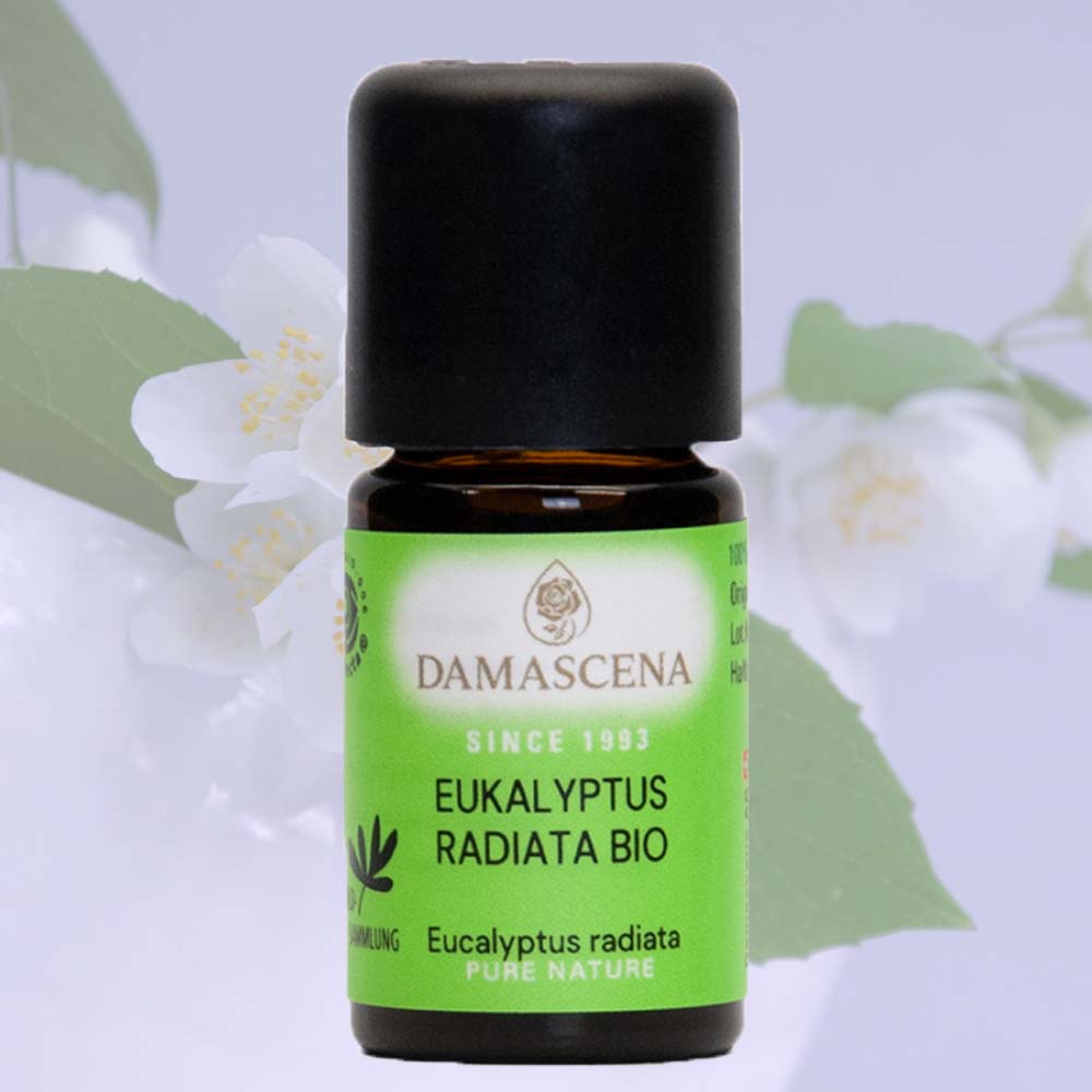 Aromalampen, Aromalampe Blume – Special Edition, Aromalampe Junior, Aromalampe Lebensblume – Special Edition, Aromalampe Mahara, Aromalampe Venus, Aromalampe Victoria, Räucher- und Aromalampe Lucerna, Ätherisches Öl - Angelikawurzelöl BIO, Ätherisches Öl - Anis BIO, Ätherisches Öl - Arvenöl Schweiz BIO, Ätherisches Öl - Arvenöl Tyrol BIO, Ätherisches Öl - Balsamtanne BIO, Ätherisches Öl - Basilikum Linalool BIO, Ätherisches Öl - Benzoe Siam BIO, Ätherisches Öl - Bergamotte BIO, Ätherisches Öl - Bergamotte Furocumarinfrei BIO, Ätherisches Öl - Bergamottminze BIO, Ätherisches Öl - Bergbohnenkraut BIO, Ätherisches Öl - Blutorange BIO, Ätherisches Öl - Buddha Wood, Ätherisches Öl – Cajeput, Ätherisches Öl - Cajeput BIO, Ätherisches Öl - Champaca 10 %, Ätherisches Öl - Cistrose BIO, Ätherisches Öl - Citronella BIO, Ätherisches Öl – Copaivabalsam, Ätherisches Öl - Dead Sandalwood, Ätherisches Öl - Douglasie Frankreich BIO, Ätherisches Öl - Douglasie Schweiz Bio, Ätherisches Öl - Duftset ätherische Öle, Ätherisches Öl - Eukalyptus Blue Mallee Bio, Ätherisches Öl - Eukalyptus Citriodora BIO, Ätherisches Öl - Eukalyptus Globulus BIO, Ätherisches Öl - Eukalyptus Radiata BIO, Ätherisches Öl - Fenchel süss BIO, Ätherisches Öl - Fichtennadel BIO, Ätherisches Öl - Fichtennadel extra, Ätherisches Öl – Fragonia, Ätherisches Öl - Frangipani 20 %, Ätherisches Öl - Frangipani Attar, Ätherisches Öl - Grapefruit BIO, Ätherisches Öl - Grapefruit pink BIO, Ätherisches Öl - Grüne Minze (Krauseminze) BIO, Ätherisches Öl - Hanf BIO 10 %, Ätherisches Öl - Hanf BIO 100 %, Ätherisches Öl - Hennablüten Attar, Ätherisches Öl - Ho-Blätter , Ätherisches Öl - Ho-Holz BIO, Ätherisches Öl - Honeymyrtle (Honigmyrte), Ätherisches Öl - Immortelle BIO, Ätherisches Öl - Immortelle BIO 50 %, Ätherisches Öl - Ingwer BIO, Ätherisches Öl - Jasmin Absolue Ägypten, Ätherisches Öl - Jasmin Absolue Indien, Ätherisches Öl - Jasmin Absolue Indien 10 %, Ätherisches Öl - Jasmin Attar, Ätherisches Öl - Jasmin Sambac Absolue, Ätherisches Öl - Jasmin Sambac Absolue 10 %, Ätherisches Öl - Kakao Extrakt BIO, Ätherisches Öl - Kamille blau BIO, Ätherisches Öl - Kamille römisch BIO, Ätherisches Öl - Kamille römisch Schweiz, Ätherisches Öl - Kardamom BIO, Ätherisches Öl - Karottensamen BIO, Ätherisches Öl - Kiefernadel BIO, Ätherisches Öl - Koriander BIO, Ätherisches Öl – Kunzea, Ätherisches Öl - Lärche BIO, Ätherisches Öl - Latschenkiefer BIO, Ätherisches Öl - Lavandin super BIO, Ätherisches Öl - Lavendel fein bulgarisch BIO, Ätherisches Öl - Lavendel fein französisch BIO AOP, Ätherisches Öl - Lavendel Sevilla BIO, Ätherisches Öl - Lemongrass BIO, Ätherisches Öl - Lemonmyrtle (Zitronenmyrte) BIO, Ätherisches Öl - Limette BIO, Ätherisches Öl - Litsea Cubeba BIO, Ätherisches Öl - Lorbeer BIO, Ätherisches Öl – Lotusblüte, Ätherisches Öl - Lotusblüte 10 %, Ätherisches Öl - Mairose Absolue, Ätherisches Öl - Mairose Absolue 10 %, Ätherisches Öl - Majoran BIO, Ätherisches Öl - Mandarine grün BIO, Ätherisches Öl - Mandarine rot BIO, Ätherisches Öl – Manuka, Ätherisches Öl - Manuka BIO, Ätherisches Öl - Melisse BIO, Ätherisches Öl - Melisse BIO 10 %, Ätherisches Öl - Mimose 50 % Absolue, Ätherisches Öl - Muskatellersalbei BIO, Ätherisches Öl - Muskatellersalbei Schweiz BIO, Ätherisches Öl - Myrrhe 80 % BIO, Ätherisches Öl - Myrte ct. Cineol BIO, Ätherisches Öl - Nanaminze BIO, Ätherisches Öl - Narde BIO, Ätherisches Öl - Nelkenknospe BIO, Ätherisches Öl - Neroli BIO, Ätherisches Öl - Neroli BIO 10 %, Ätherisches Öl - Niaouli BIO, Ätherisches Öl - Northern Sandalwood, Ätherisches Öl - Orange bitter BIO, Ätherisches Öl - Orange süss BIO, Ätherisches Öl - Pfeffer schwarz BIO, Ätherisches Öl - Pfefferminze BIO, Ätherisches Öl - Pfefferminze indisch BIO, Ätherisches Öl - Ravintsara Cineol BIO, Ätherisches Öl - Rhododendron BIO, Ätherisches Öl – Rosalina, Ätherisches Öl - Rose Alba 5 % BIO, Ätherisches Öl - Rose Alba BIO, Ätherisches Öl - Rosen Attar, Ätherisches Öl - Rosengeranium BIO, Ätherisches Öl - Rosengeranium Bourbon BIO, Ätherisches Öl - Rosenholz BIO CITES, Ätherisches Öl - Rosenöl Absolue, Ätherisches Öl - Rosenöl bulgarisch, Ätherisches Öl - Rosenöl türkisch, Ätherisches Öl - Rosenöl türkisch BIO, Ätherisches Öl - Rosmarin Cineol BIO, Ätherisches Öl - Rosmarin Verbenon BIO, Ätherisches Öl - Safran Attar, Ätherisches Öl - Safran Attar 20 %, Ätherisches Öl - Salbei BIO, Ätherisches Öl - Sandelholz Australien premium, Ätherisches Öl - Sandelholz Mysore, Ätherisches Öl - Sandelholz Mysore BIO, Ätherisches Öl - Sandelholz Neukaledonien, Ätherisches Öl - Sandelholz Neukaledonien BIO, Ätherisches Öl - Schafgarbe BIO, Ätherisches Öl - Speiklavendel BIO, Ätherisches Öl - Teebaum BIO, Ätherisches Öl - Thymian Linalool BIO, Ätherisches Öl - Thymian Thymol BIO, Ätherisches Öl – Tolubalsam, Ätherisches Öl - Tonkabohne BIO, Ätherisches Öl - Tulsi Bio, Ätherisches Öl - Vanille Bourbon BIO, Ätherisches Öl - Verbena BIO, Ätherisches Öl - Verbena BIO 10 %, Ätherisches Öl - Verbena Grasse BIO, Ätherisches Öl - Vetiver 80 % BIO, Ätherisches Öl - Wacholderbeere BIO, Ätherisches Öl - Weihrauch indisch BIO, Ätherisches Öl - Weihrauch somalisch BIO, Ätherisches Öl - Weihrauch somalisch extra, Ätherisches Öl - Weisstanne Schweiz BIO, Ätherisches Öl - White Cypresswood, Ätherisches Öl - Wilder Berglavendel Bio, Ätherisches Öl - Wintergrün BIO, Ätherisches Öl - Ylang Ylang extra supérieur BIO, Ätherisches Öl - Ysop BIO, Ätherisches Öl – Yuzu, Ätherisches Öl - Zedernholz Atlas BIO, Ätherisches Öl - Zedernholz Himalaya BIO, Ätherisches Öl - Zedernholz Virginia, Ätherisches Öl - Zimtblatt BIO, Ätherisches Öl - Zimtrinde BIO, Ätherisches Öl - Zitrone BIO, Ätherisches Öl - Zitrone furocumarinfrei BIO, Ätherisches Öl - Zitronenteebaum BIO, Ätherisches Öl - Zypresse BIO, Aroma, Aromaöl, Speiseöl, Aroma Öl, Aromaset für den gewissen Pfiff, Aromaset für Feinschmecker, Aromaset für Getränke, Aromaset für Salate & Dips, Aromaset zum Backen, Aromaset zum Kochen, BIO Aromaöl Basilikum, BIO Aromaöl Gewürzmischung, BIO Aromaöl Ingwer, BIO Aromaöl Kakao Extrakt, BIO Aromaöl Kardamom, BIO Aromaöl Lemongrass, BIO Aromaöl Limette, BIO Aromaöl Nanaminze, BIO Aromaöl Orange süss, BIO Aromaöl Oregano, BIO Aromaöl Pfeffer schwarz, BIO Aromaöl Rosmarin, BIO Aromaöl Salbei, BIO Aromaöl Thymian, BIO Aromaöl Tonkabohne, Schweizer Innovationen, otrend, otrend.ch, bernevo, Trend, Trends, Innovationen, Angebot, Bernevo, Bernevo AG, omarket.ch, lemoneasy, omarket.ch, Zitronenschieber, opower.ch, Aromavernebler EROS Aroma Diffuser & Himalayasalz Lampe, Aromavernebler JASMINE, Aromavernebler JOY , Aromavernebler JOY Bundle, Aromavernebler LILIA , Aromavernebler LILIA plus Stichfrei Mückenschutz BIO, Aromavernebler LILIA plus Schutz & Gesund Essenzmischung, Aromavernebler ROJ Diffuser & Himalayasalz Lampe, Aromavernebler SOPHIE Diffuser & Laterne, Aromavernebler SOPHIE LITTLE Diffuser & Laterne, Aromavernebler YUN Eiche, Aromavernebler ZOÉ schwarz, Aromavernebler ZOÉ weiss, Aromavernebler, Diffuser